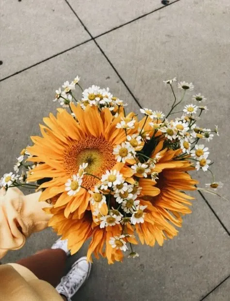 Fleur orange